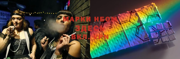 сатива Алзамай