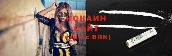 сатива Алзамай