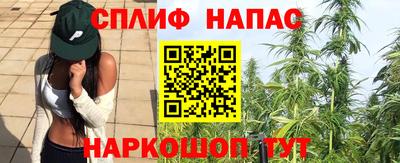 трава Обнинск