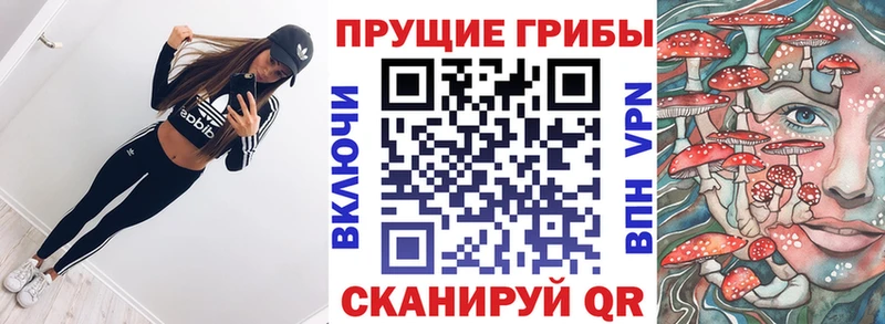 продажа наркотиков  Старая Купавна  Псилоцибиновые грибы GOLDEN TEACHER 